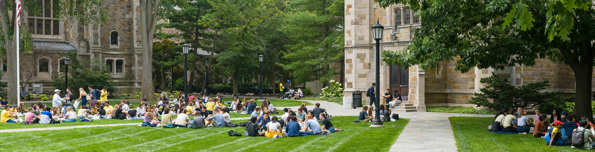 Students on the Law Quad